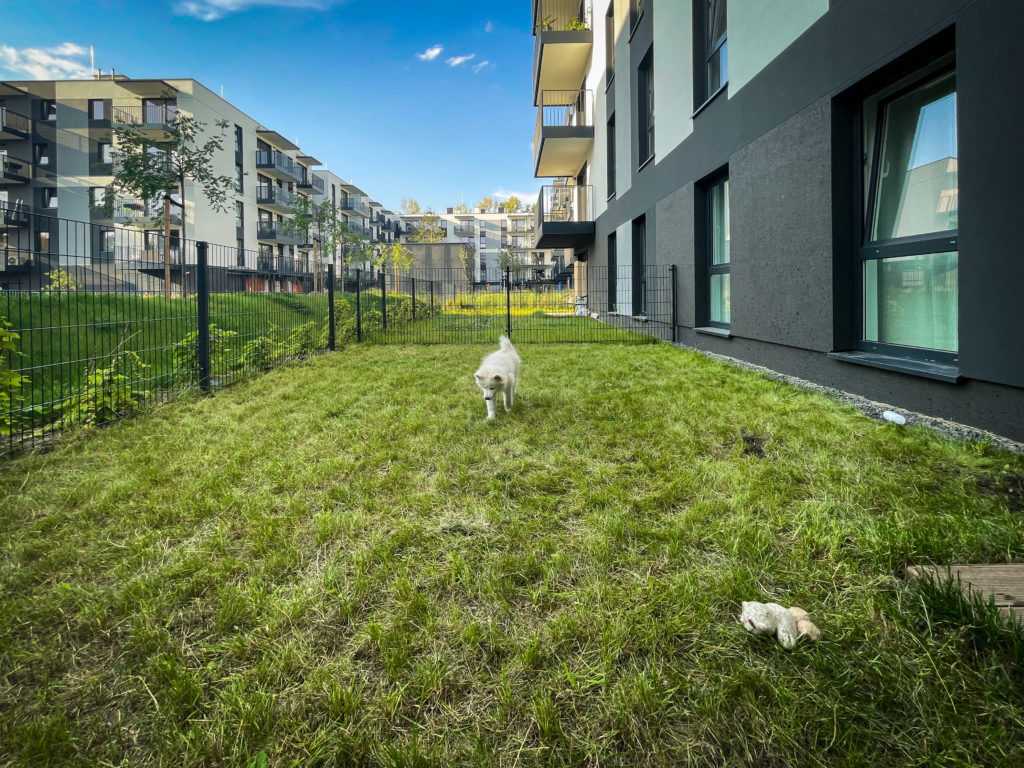 AlejePraskie_m174_74