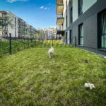 AlejePraskie_m174_74