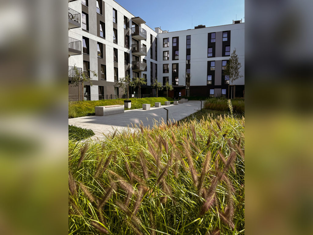 AlejePraskie_m174_75