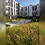 AlejePraskie_m174_75